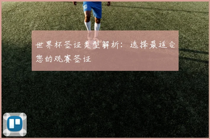 世界杯签证类型解析：选择最适合您的观赛签证