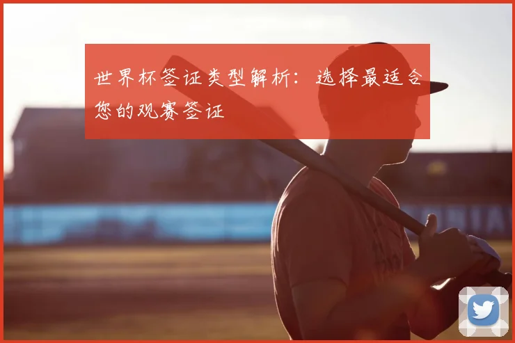 世界杯签证类型解析：选择最适合您的观赛签证
